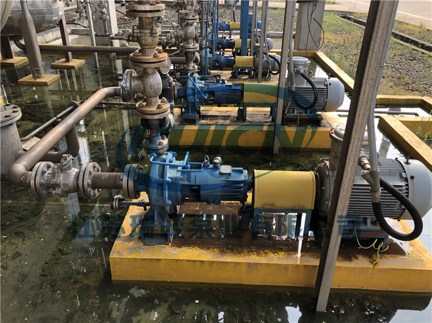 1593343324844289.jpg IMG_5445.JPG