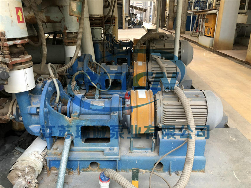 1594385513107270.jpg 20180828_074335287_ioses.jpg