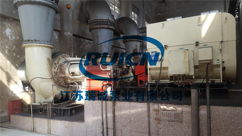 1619524384532175.jpg 20180309_184858000_ioses.jpg